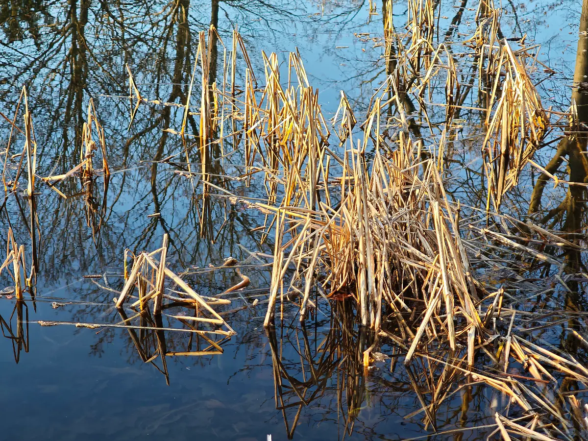 MVIMG-20250319-170305