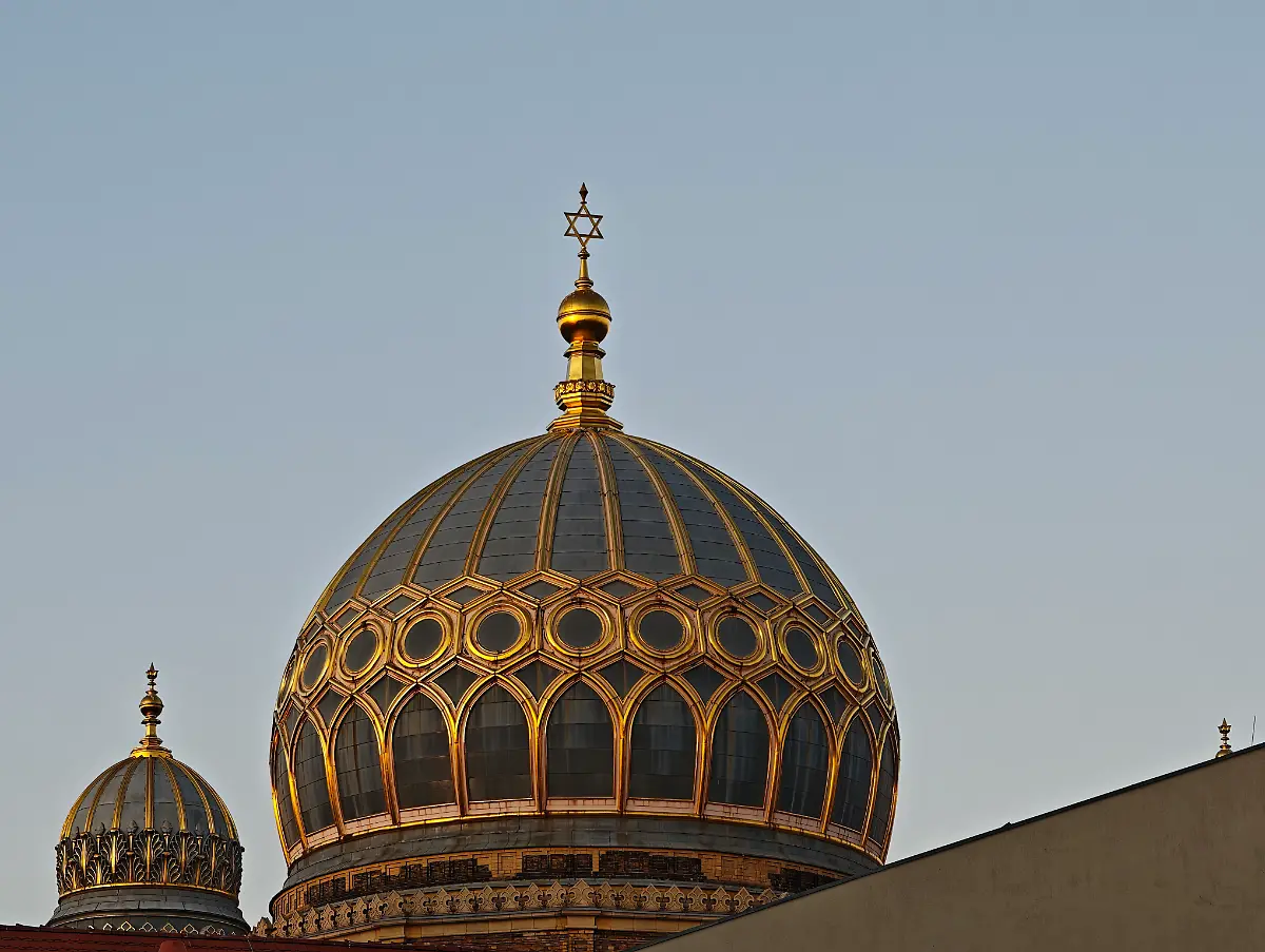 MVIMG-20250319-181600