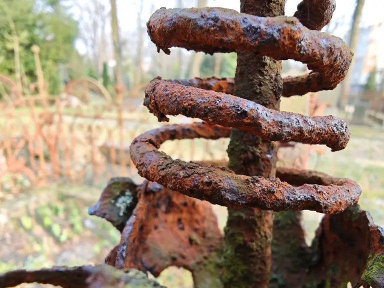 MVIMG-20250311-154226