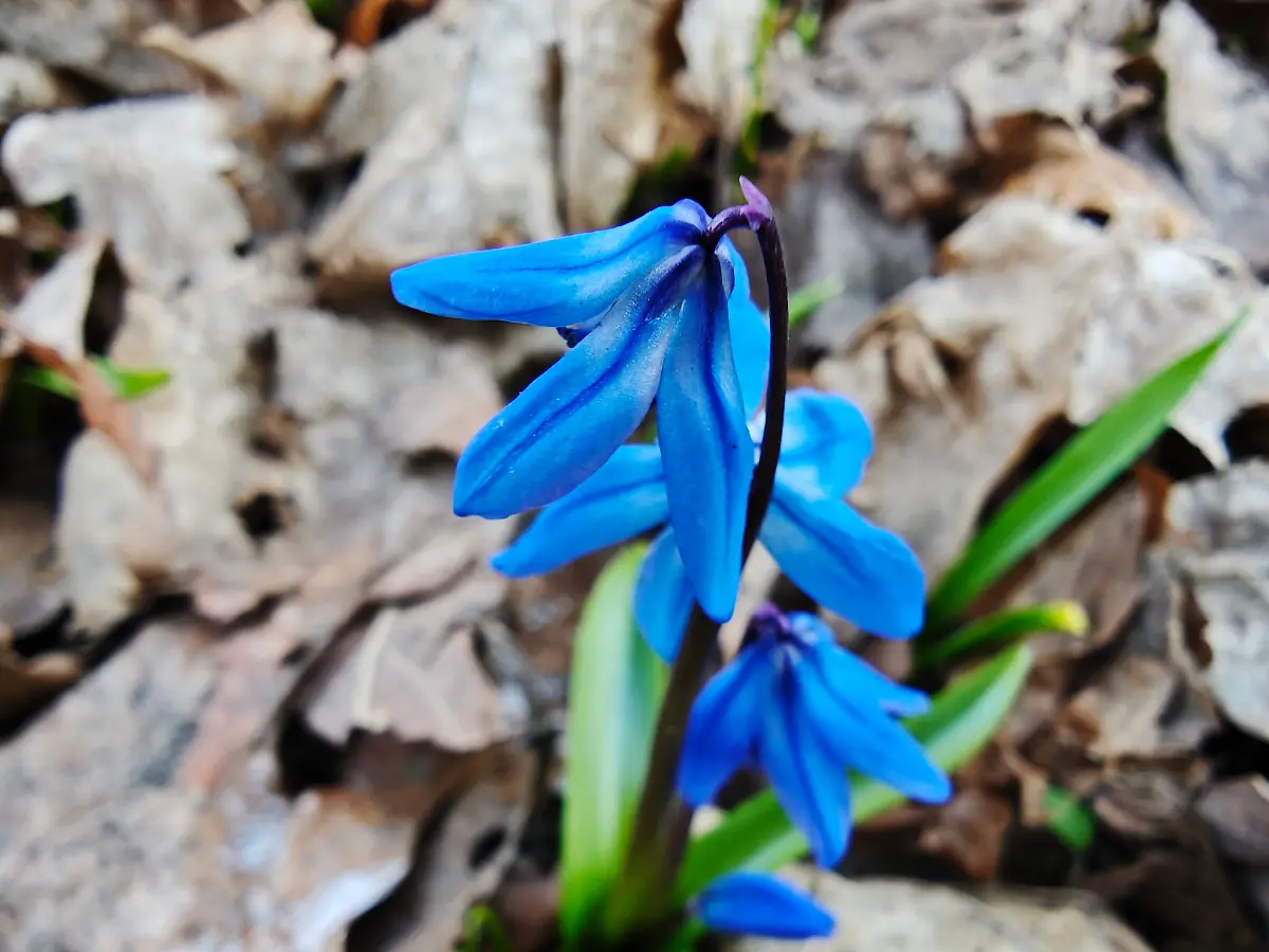 MVIMG-20250319-165935