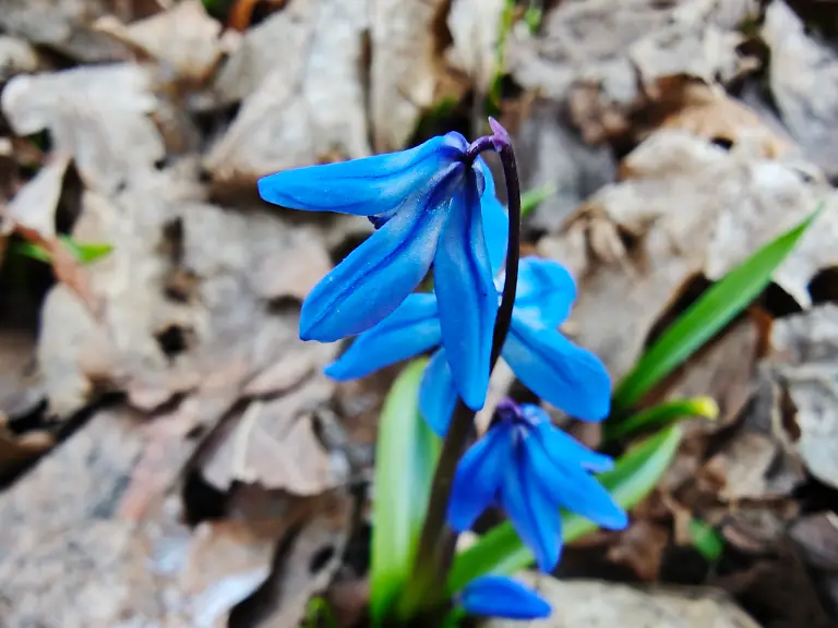 MVIMG-20250319-165935