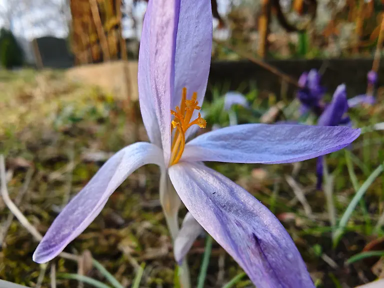 MVIMG-20250311-154247