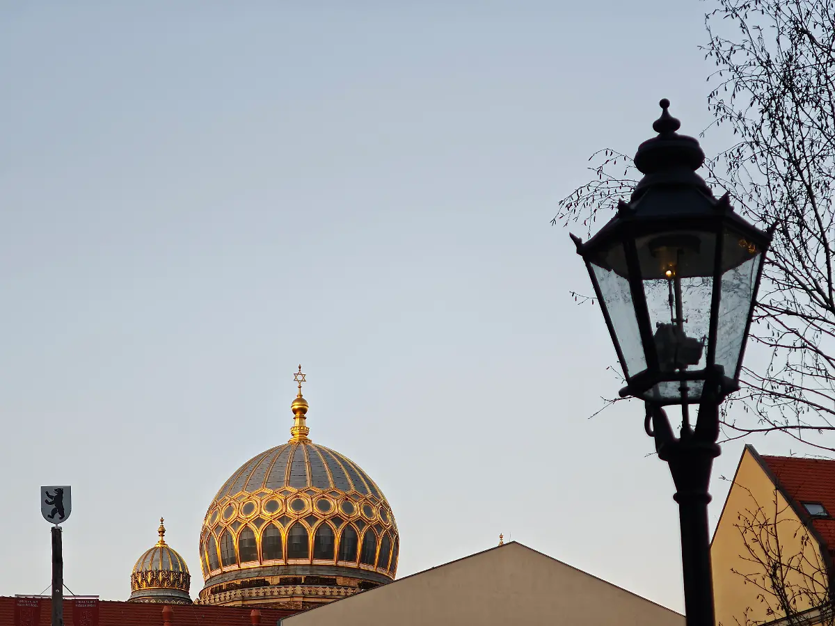 MVIMG-20250319-181547