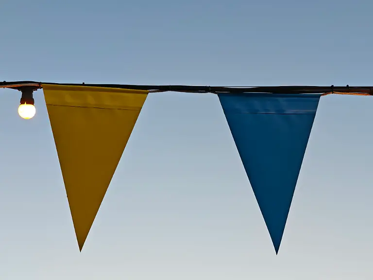 MVIMG-20250319-181021