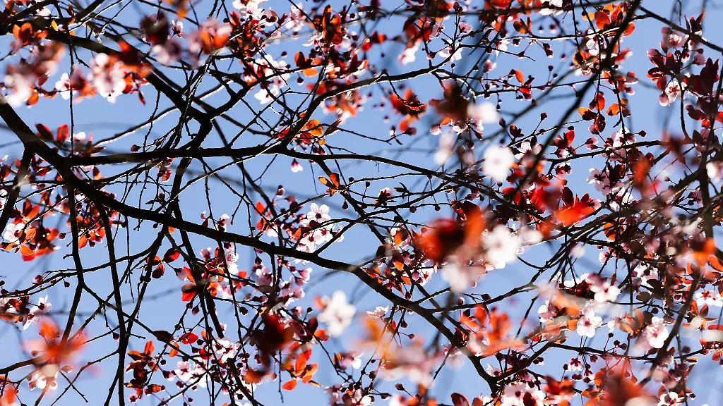 Am-Freitag-scheint-in-Nordrhein-Westfalen-die-Sonne