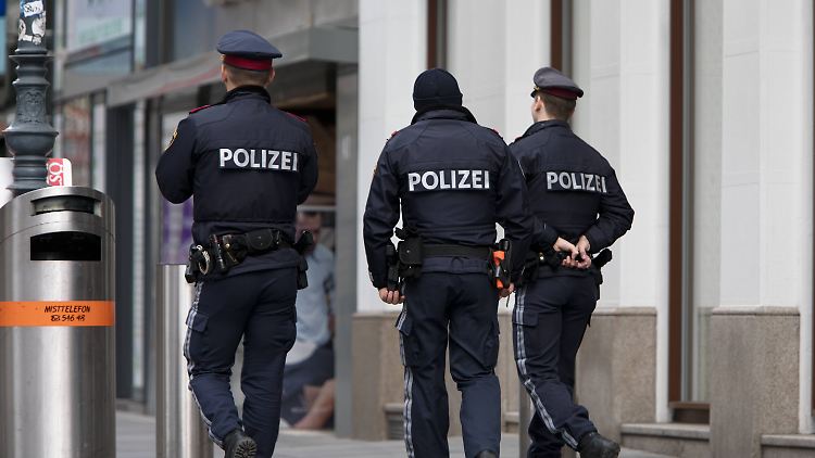 Der Ex-Geheimdienstmitarbeiter zeigte sich selbst bei der österreichischen Justiz an.