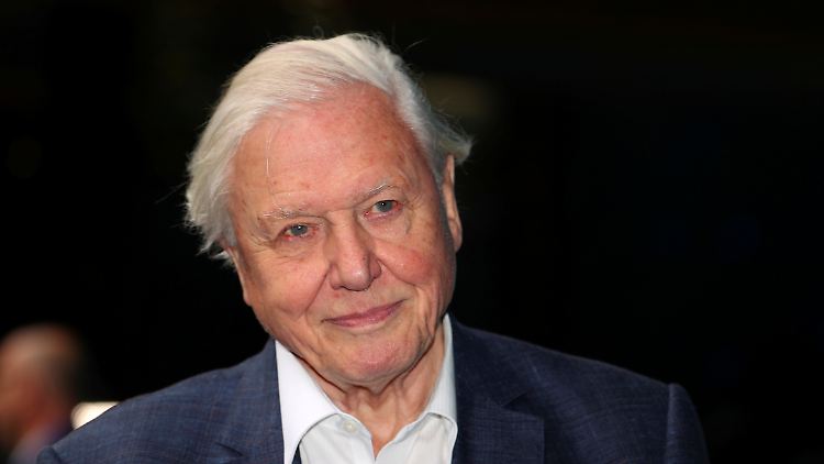 In seinem ersten Instagram-Video erklärt Attenborough, dass er diese für ihn "neue Art der Kommunikation" nutzen wolle, um die Menschen vor der derzeitigen Umweltkatastrophe zu warnen.