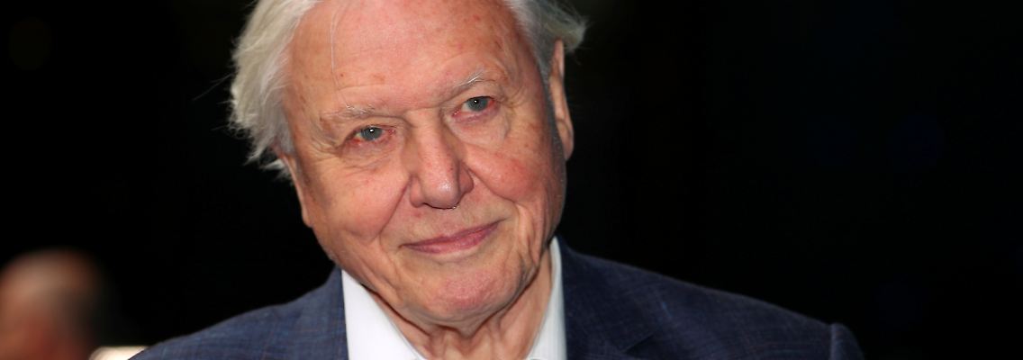 2020-09-21T112401Z_2142884125_RC2Z2J9I3TA7_RTRMADP_3_CLIMATE-CHANGE-DAVID-ATTENBOROUGH-FILM.JPG