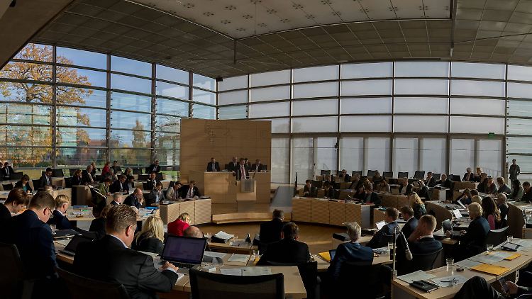 Die AfD ist künftig nicht mehr in Fraktionsstärke im Kieler Landtag vertreten.