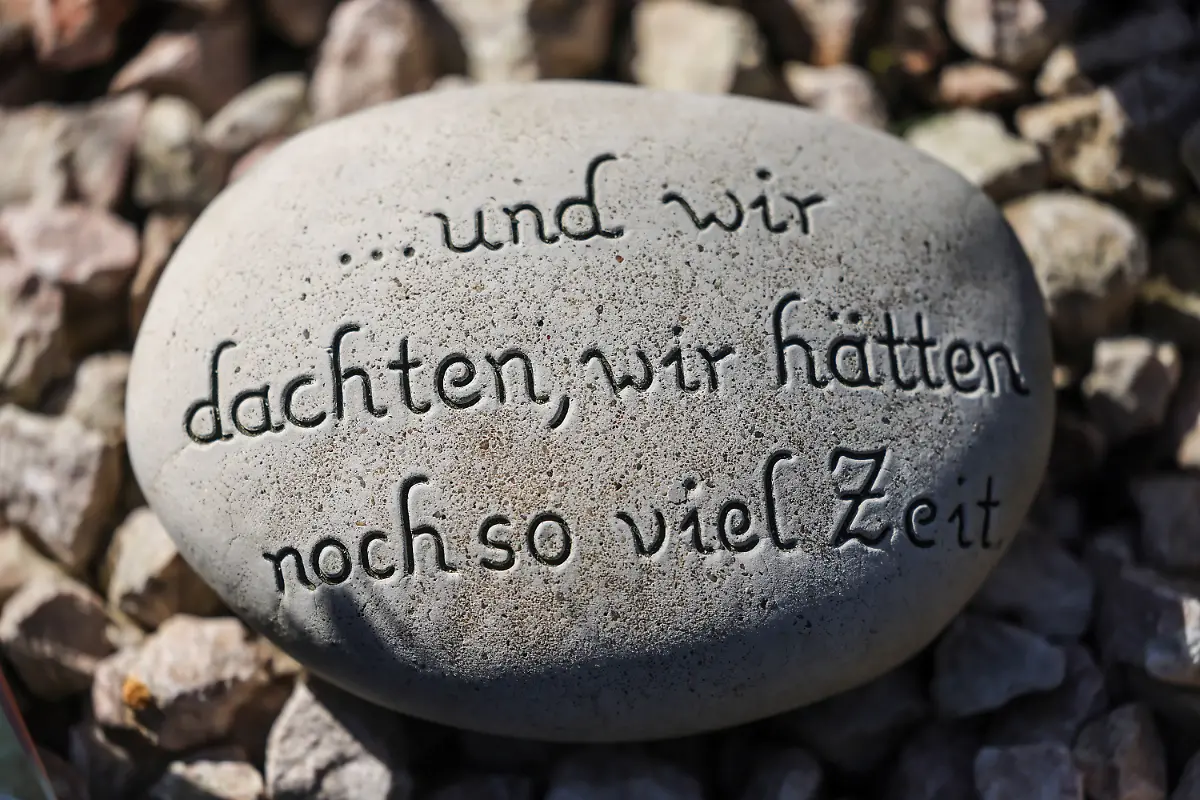 700bb72723d0fced18754050cc2fd348