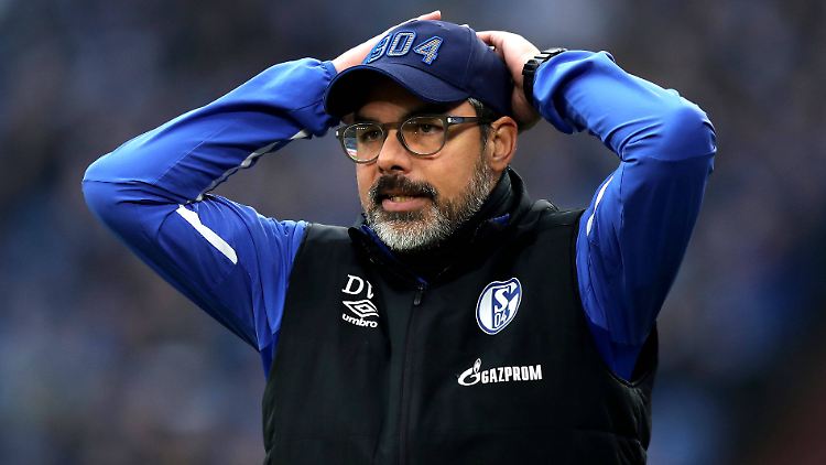 David Wagner weiß nicht, wie man Schalke 04 noch retten soll.
