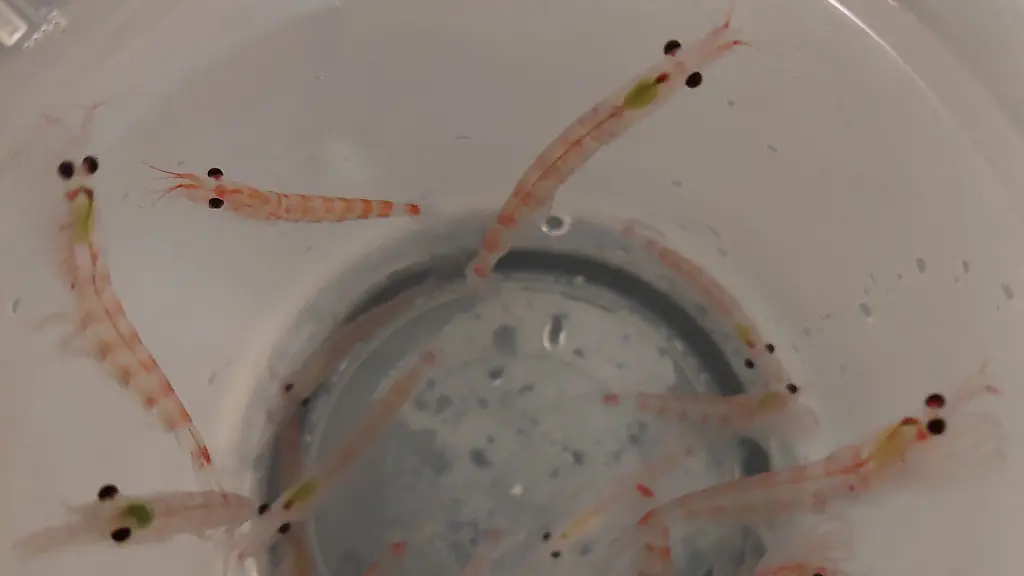 nicht-weiterverwenden