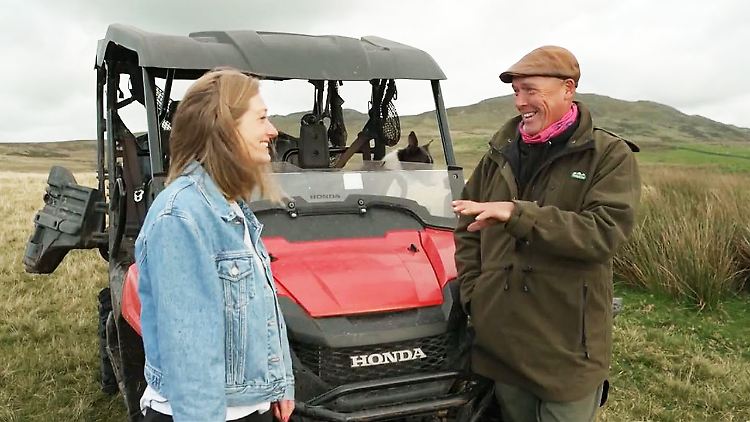 Wales Dschungelcamp.JPG