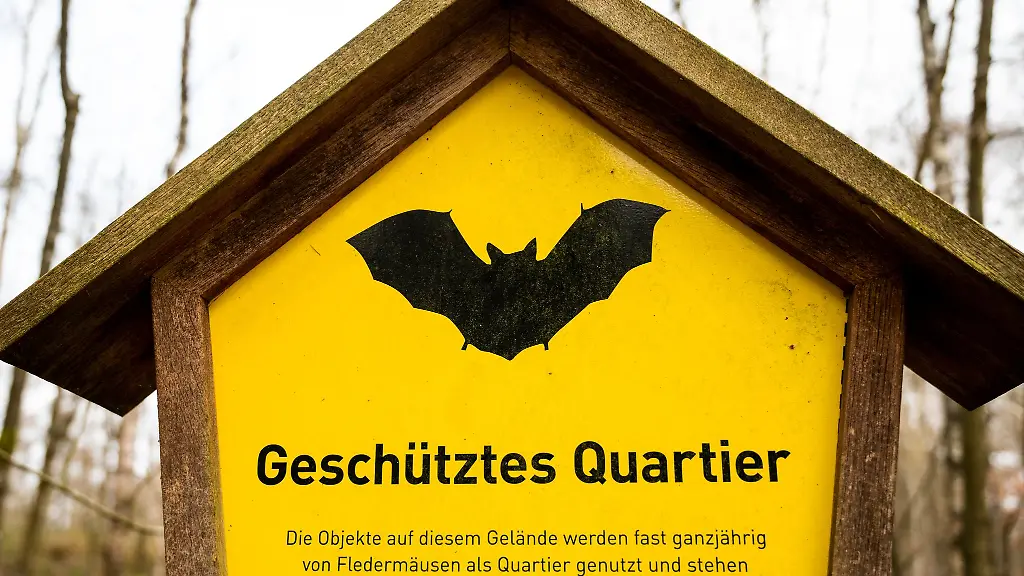 An-mehreren-Orten-in-Schleswig-Holstein-finden-Fledermaeuse-sichere-Winterquartiere