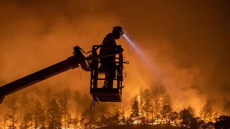 Hunderte Feuerwehrleute sind in der Region im Einsatz. Sie haben Mühe, die Brände unter Kontrolle zu kriegen.