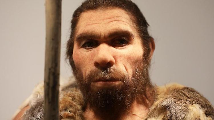 Diese Nachbildung eines Neandertalers wird im LVR-Landesmuseum in Bonn präsentiert.