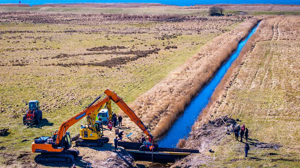 Mehr-Wasser-fuer-die-Peenewiesen
