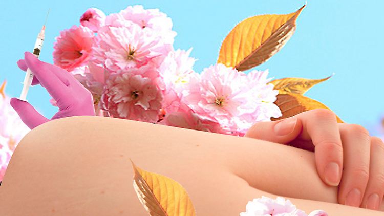 Kirschblüten und Schönheitschirurgie. Wie das zusammenpassen soll, fragt sich nicht nur Mieko Kawakami.