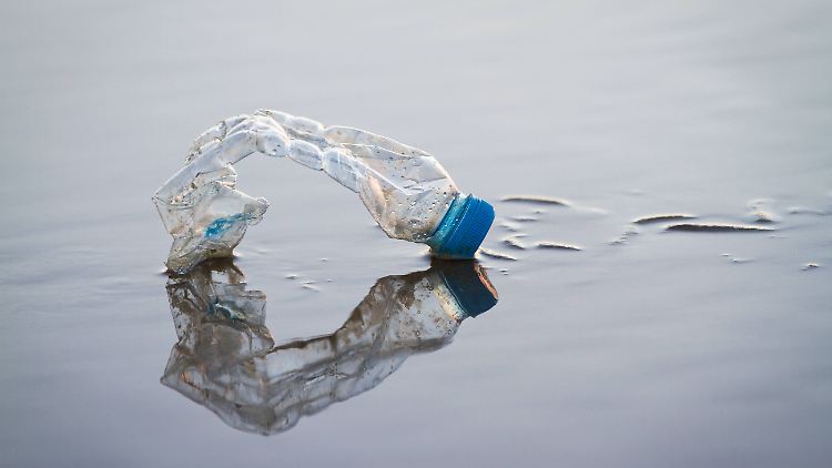 PET-Flaschen sammeln sich oft als Müll in der Umwelt an und verschmutzen auch das Meer. Mithilfe bestimmter Bakterien können sie zerlegt werden.