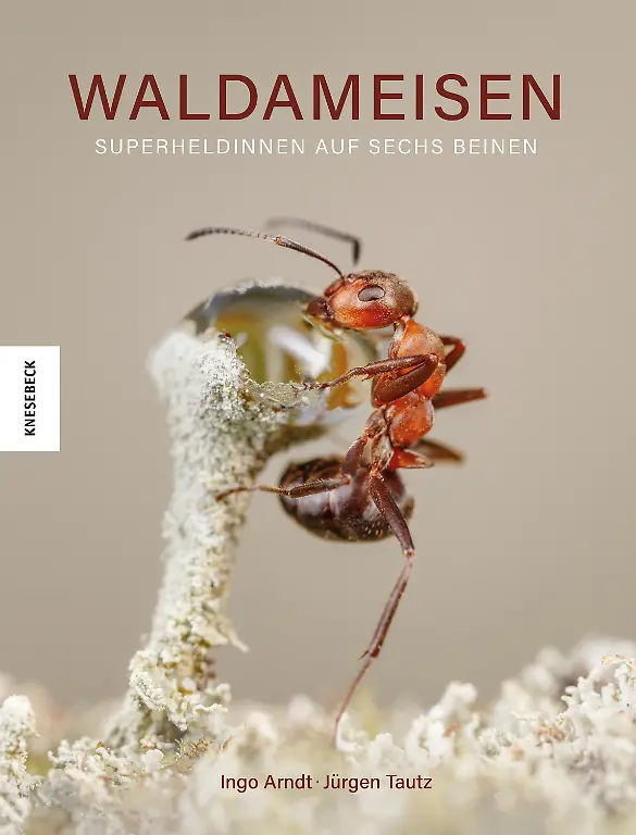 16-Ingo-Arndt-Waldameisen-Presse