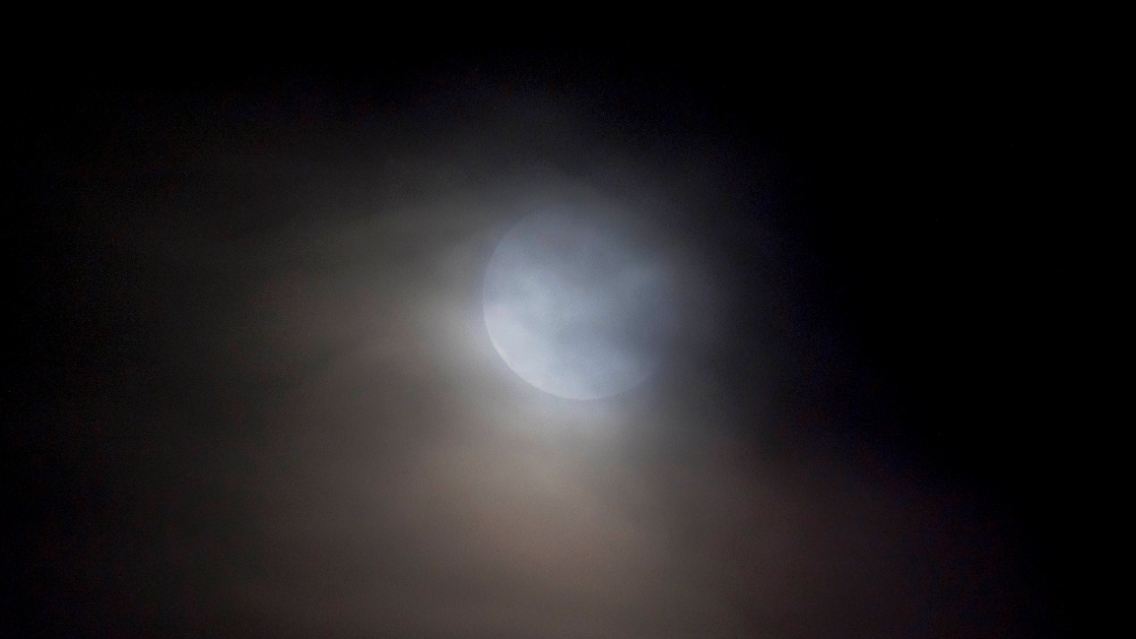 imago0100591391h.jpg