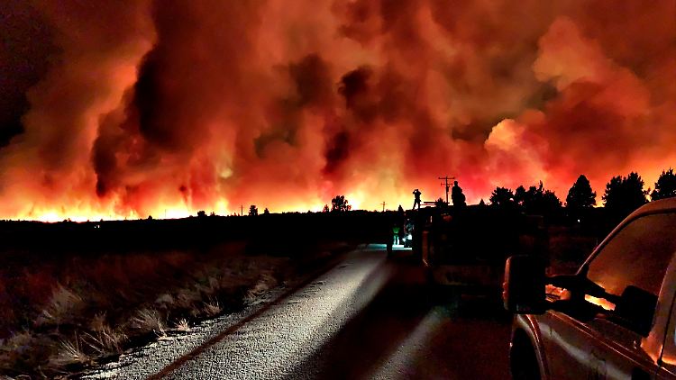 Kalifornien steht regelmäßig in Flammen - auch, weil die Energieunternehmen jahrelang nicht in ihre Infrastruktur investiert, sondern Einnahmen an Aktionäre ausgeschüttet haben.
