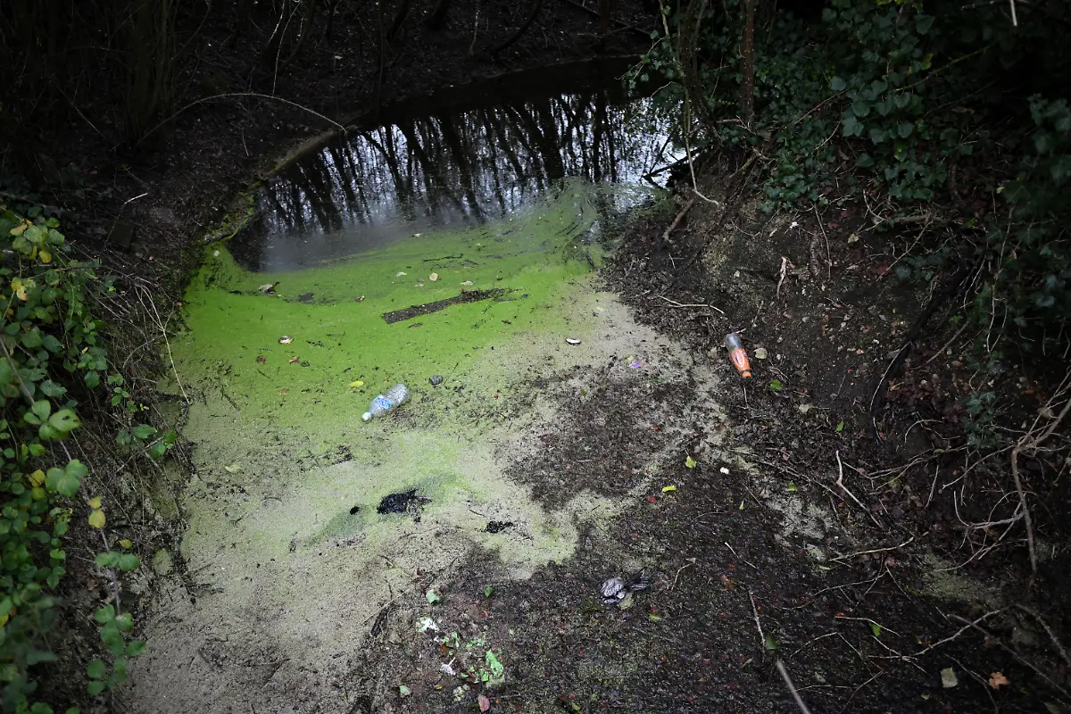 2025-03-14T081806Z-1086262472-RC21NBA7X2DS-RTRMADP-3-BRITAIN-WATER-SEWAGE