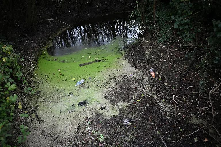 2025-03-14T081806Z-1086262472-RC21NBA7X2DS-RTRMADP-3-BRITAIN-WATER-SEWAGE