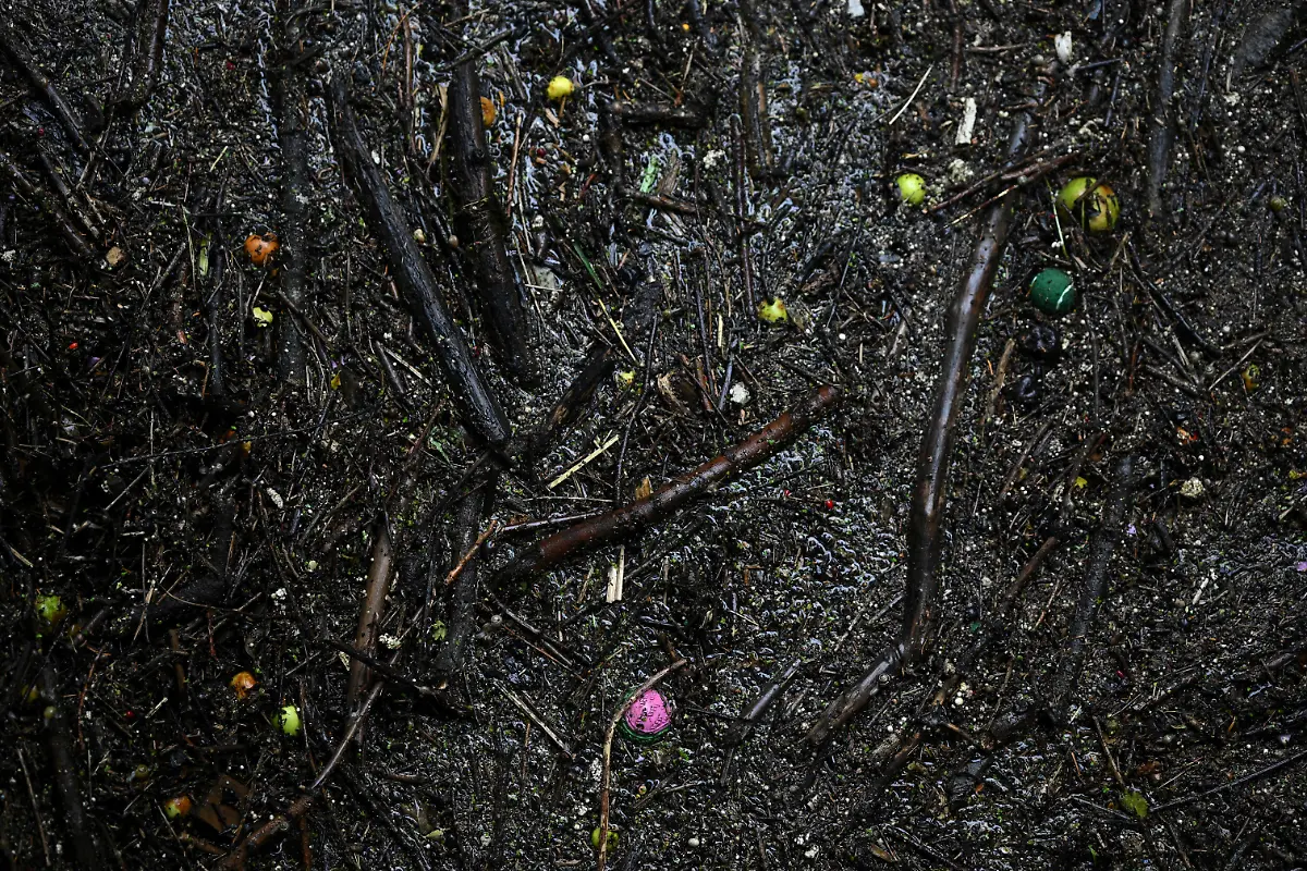 2025-03-14T081727Z-361805170-RC2GU9AXBEN6-RTRMADP-3-BRITAIN-WATER-SEWAGE