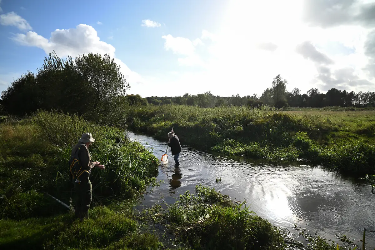 David-Findley-and-Fiona-White