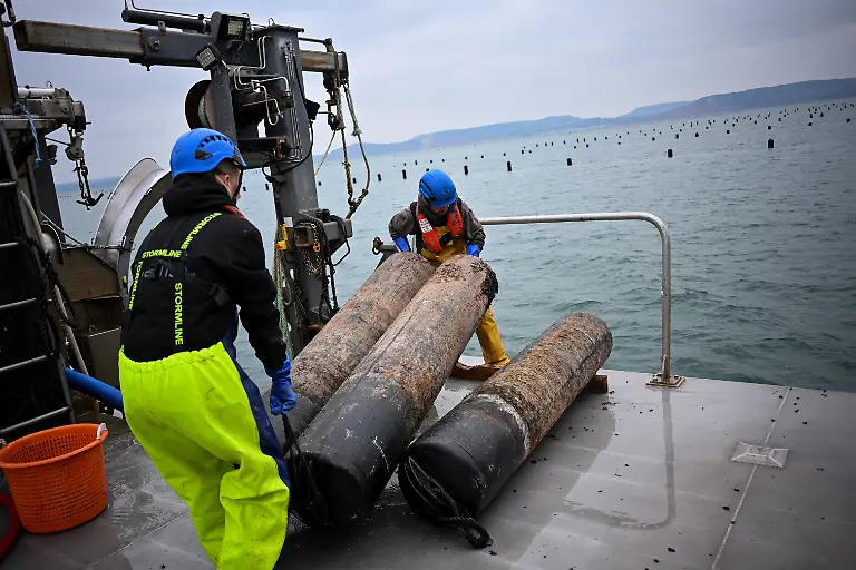 Holmyard-farm-Arbeiten