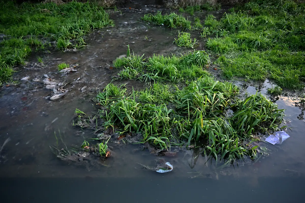 Condoms-sanitary-towels-and-other-detritus