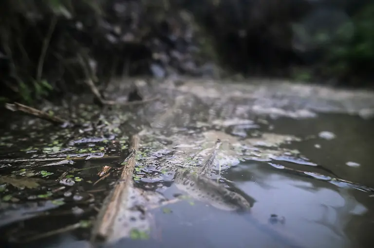 2025-03-14T081720Z-1001119456-RC2F8BAAA15X-RTRMADP-3-BRITAIN-WATER-SEWAGE