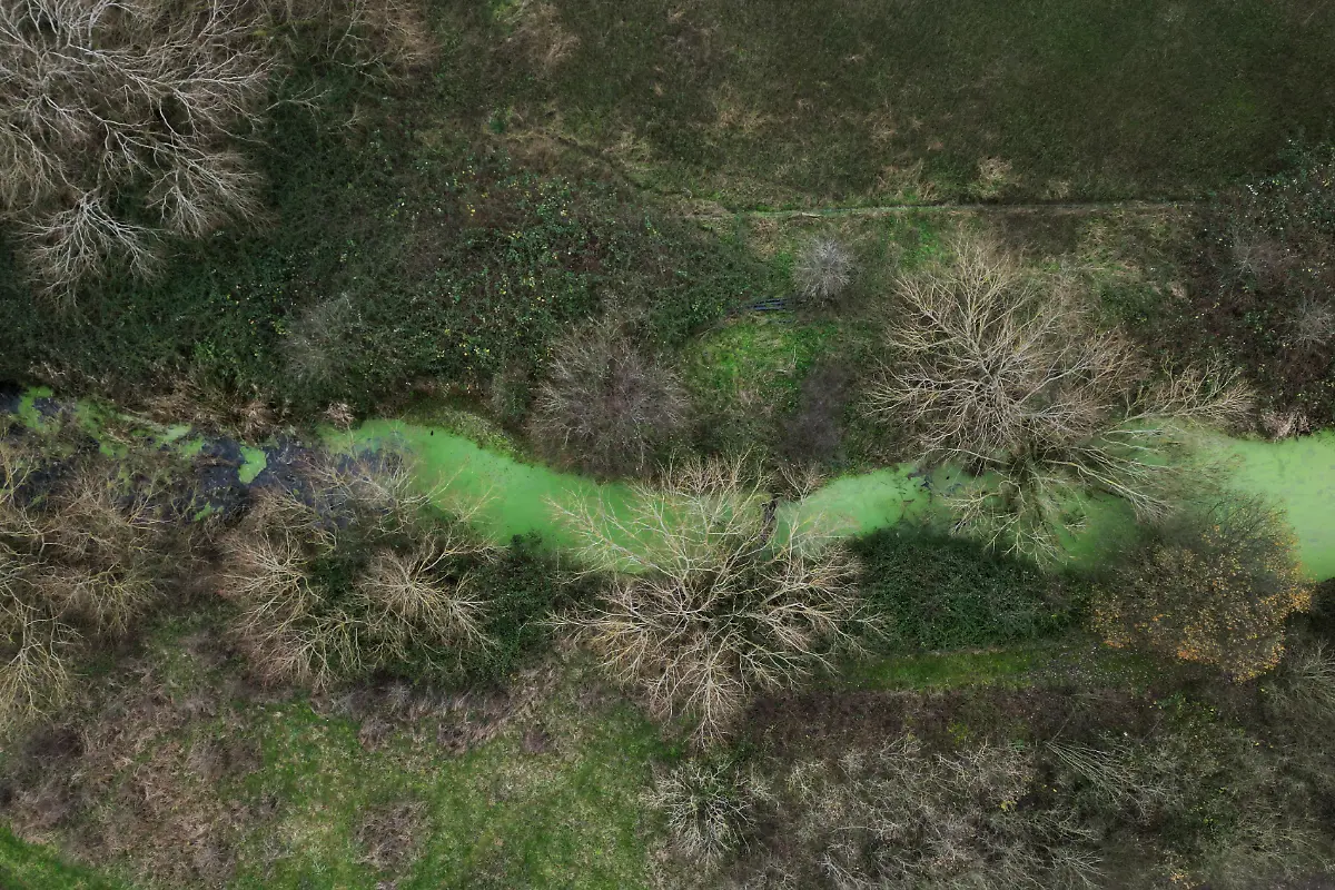 2025-03-14T081810Z-888071443-RC2ZMBA688ZB-RTRMADP-3-BRITAIN-WATER-SEWAGE