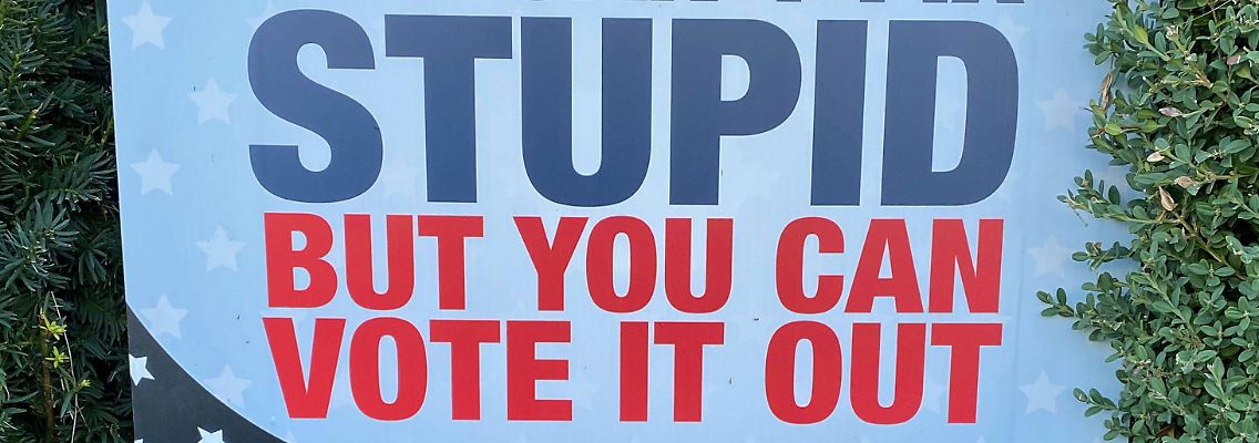 "Man kann Dummheit nicht heilen, aber man kann sie abwählen" - wenngleich dieses Schild wohl nicht von der offiziellen Kampagne stammt: Der Ton im US-Wahlkampf ist rau.