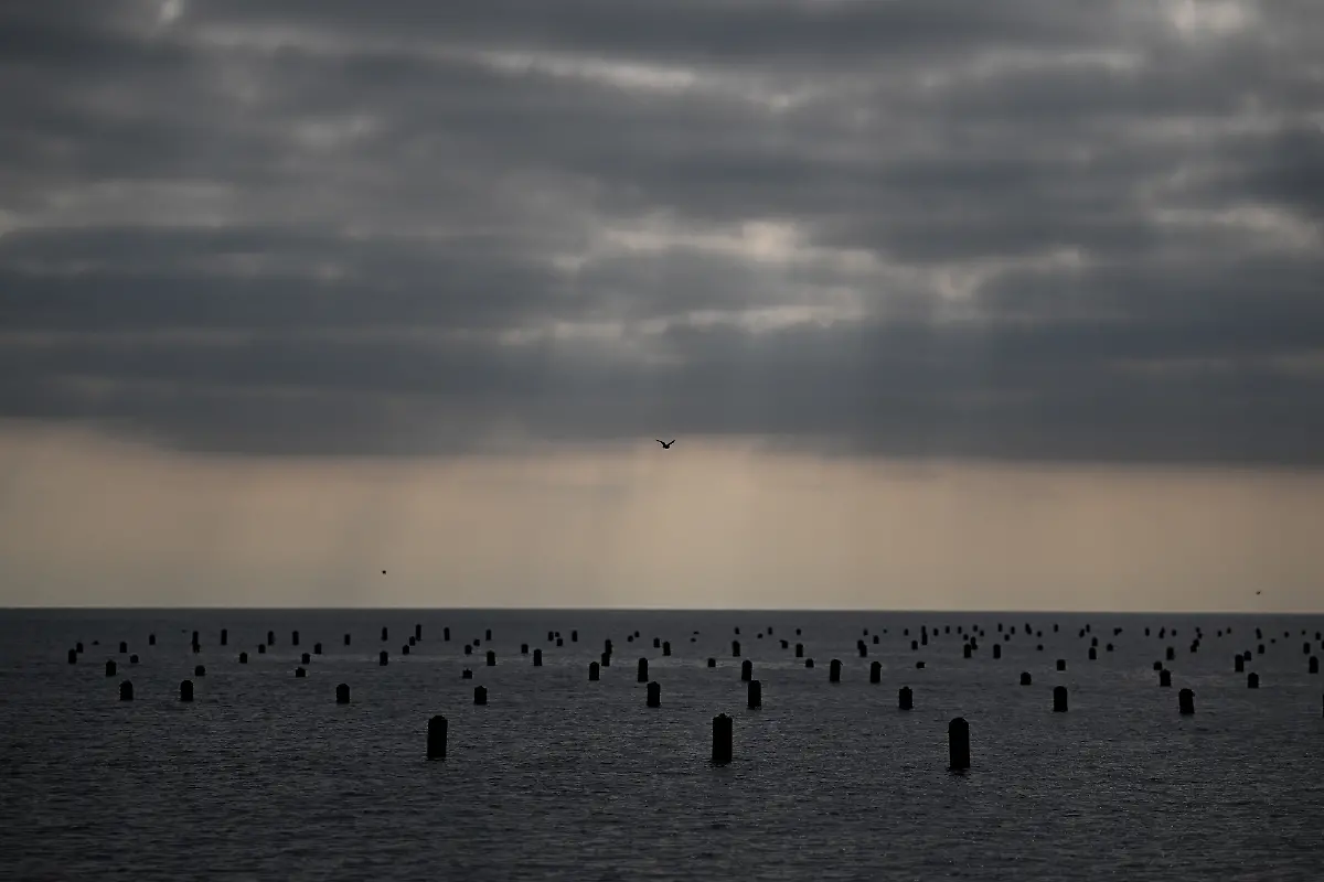 offshore-mussel-farm-built-by-the-Holmyard-family