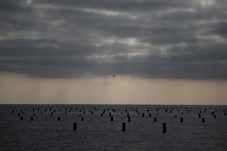 offshore-mussel-farm-built-by-the-Holmyard-family