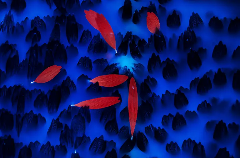 NICHT-IN-ANDEREM-ZUSAMMENHANG-VERWENDEN-RU-BWPA-2025-7