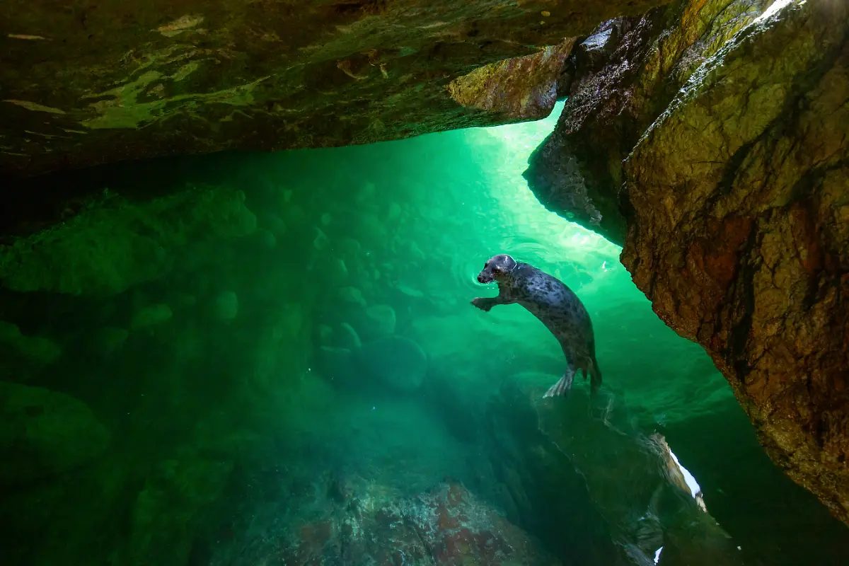 NICHT-IN-ANDEREM-ZUSAMMENHANG-VERWENDEN-RU-BWPA-2025-2