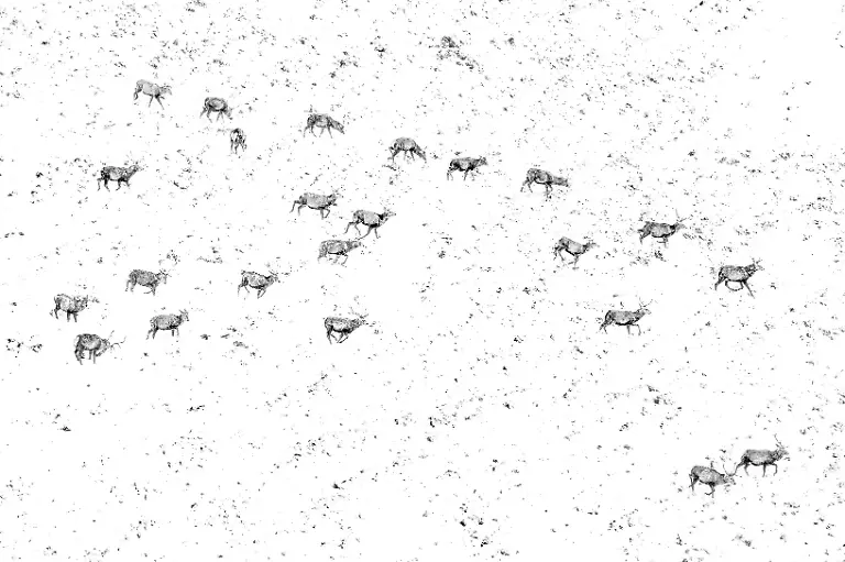 NICHT-IN-ANDEREM-ZUSAMMENHANG-VERWENDEN-RUNNERUP-BWPA-2025-4