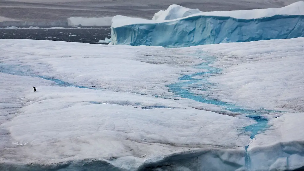 76343a11f172099d4cdf93ee42f65d0c