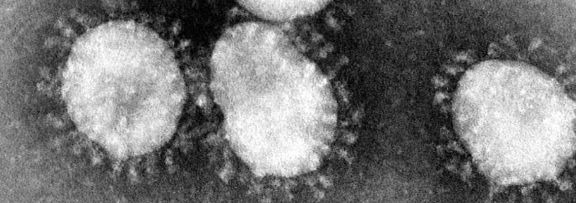 Ein Coronavirus unter dem Mikroskop. Foto: Center for Disease Control/epa/dpa/Archivbild