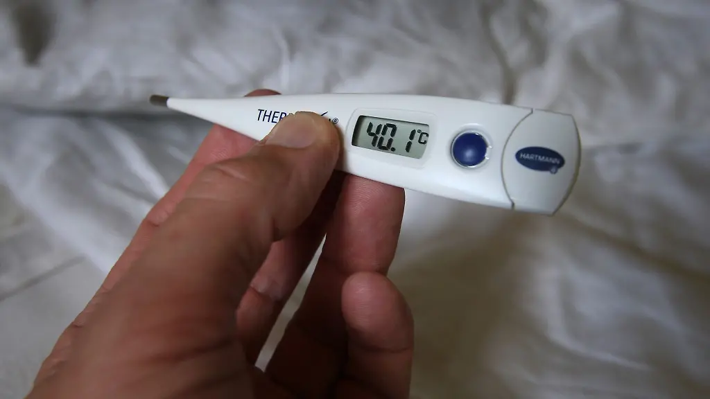 Ploetzlich-auftretendes-Fieber-ueber-39-C-ist-charakteristisch-fuer-eine-Grippeinfektion