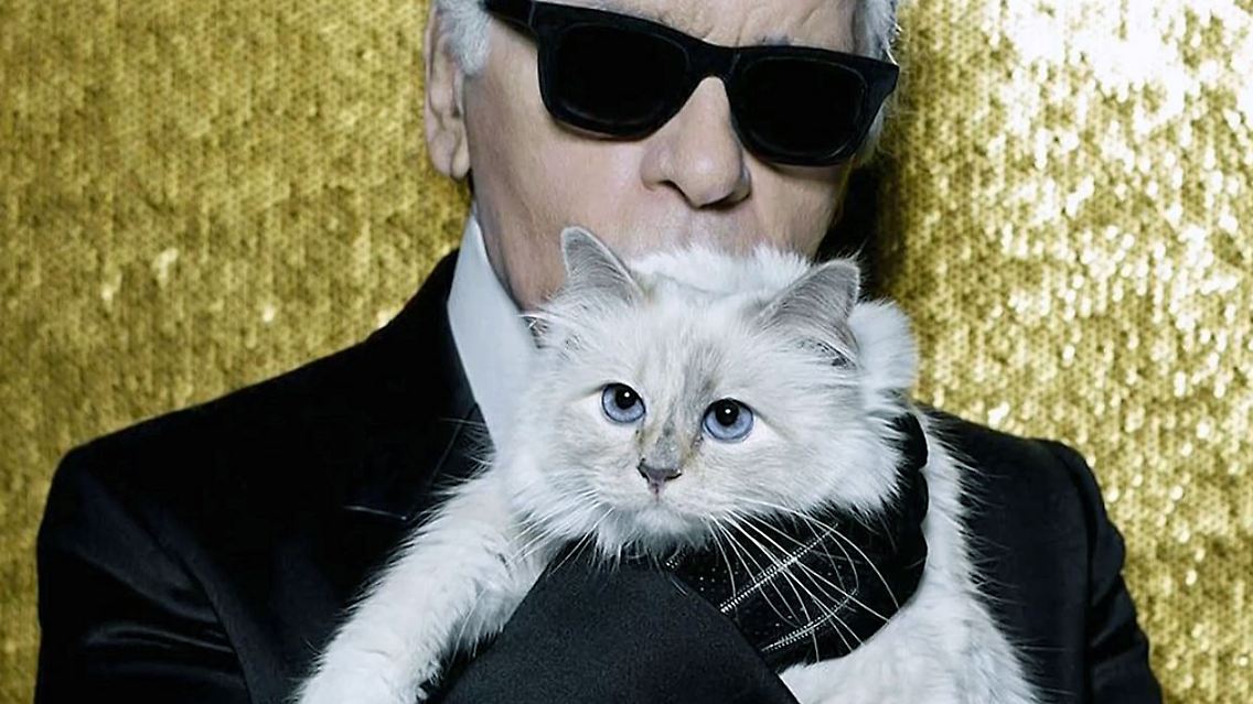 Choupette.jpg