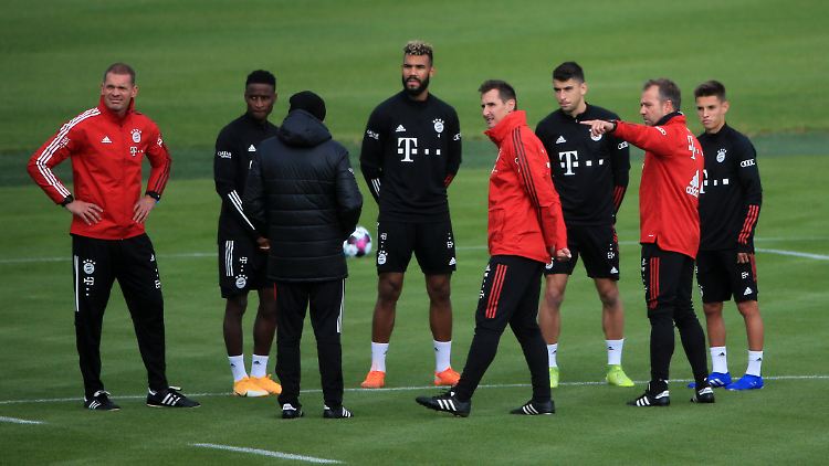 Bouna Sarr, Eric Maxim Choupo-Moting, Marc Roca - kaum zu glauben, dass diese Transfers derartige Kritik auslösen können.