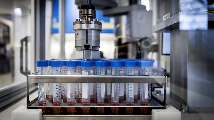 Bei der Auswertung von PCR-Tests kommt es zunehmend zu Engpässen und Verzögerungen.
