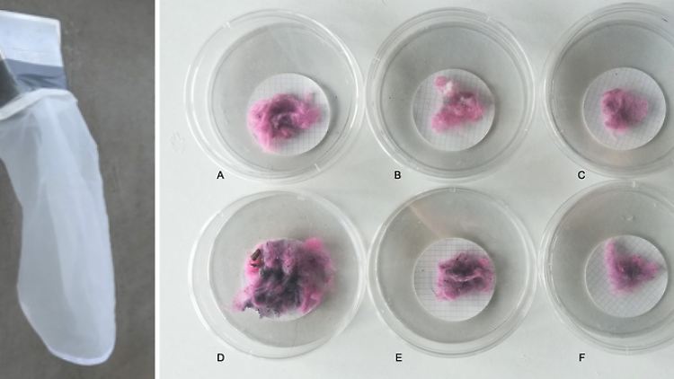 Entlüftungsbeutel und Fasern aus der Untersuchung: Fussel, die aus dem Abluftabzug für den Trockenzyklus 1 (A), 2 (B) und 3 (C) an Standort 1 und für den Trockenzyklus 1 (D), 2 (E) und 3 (F) an Standort 2 gesammelt wurden.