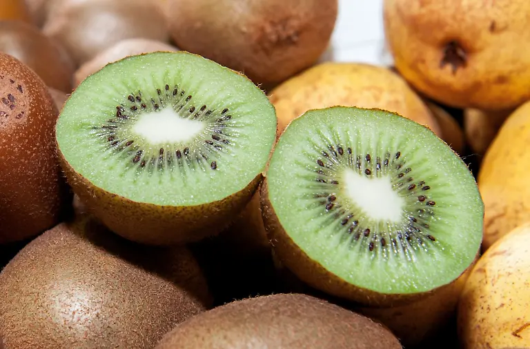 Landwirte-bauen-auch-exotische-Fruechte-wie-Kiwis-an-Archivbild