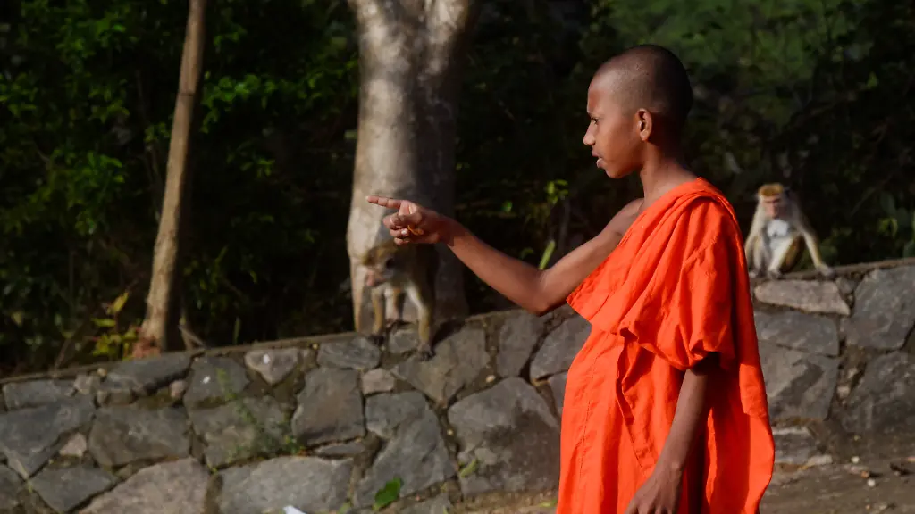 2025-03-15T063127Z-583785476-RC2IDDAQH4P1-RTRMADP-3-SRI-LANKA-WILDLIFE-CENSUS