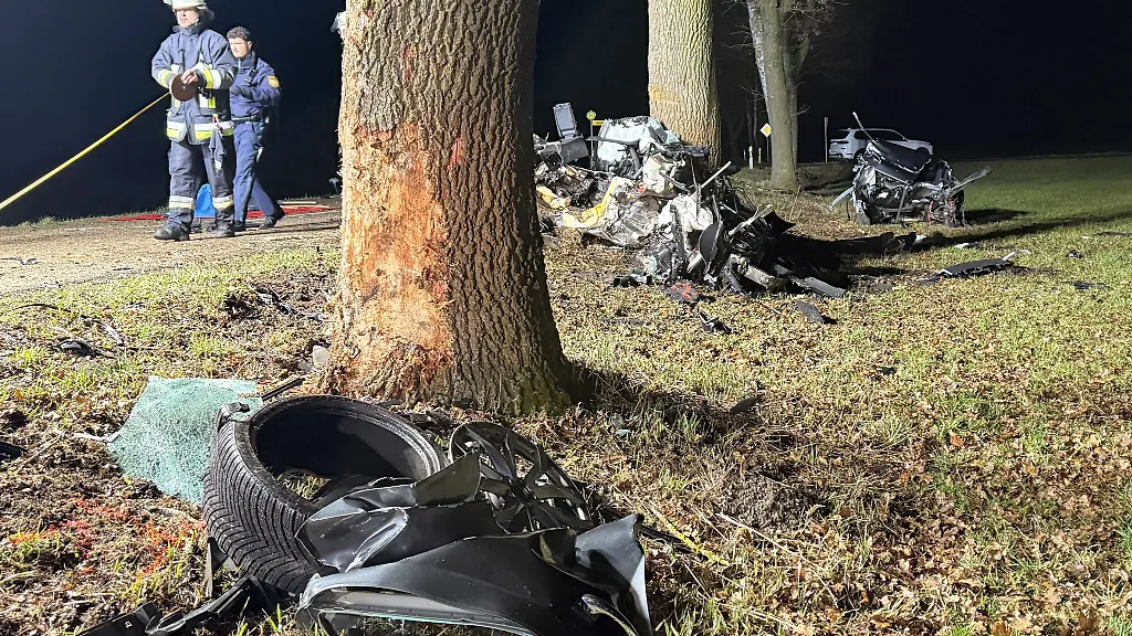 Der-Wagen-kam-in-einer-Linkskurve-von-der-Fahrbahn-ab